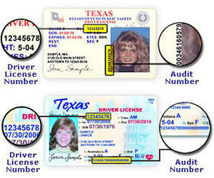 How To Find Audit Number On Texas Drivers License - fasrthai